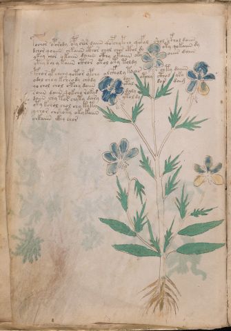 f9v