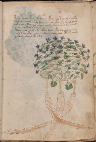 f11r