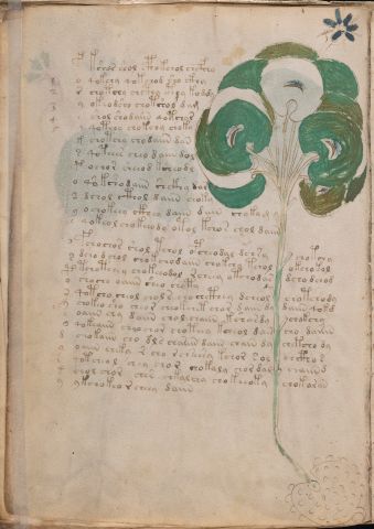 f49v