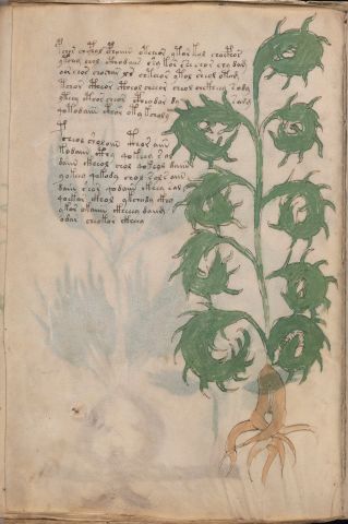 f52v