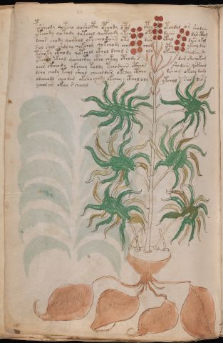 f93v