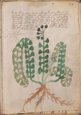 f94r