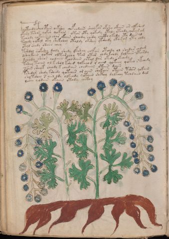 f95v1
