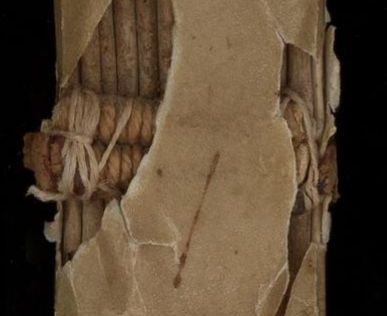 Vatican MS