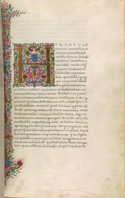 MS page