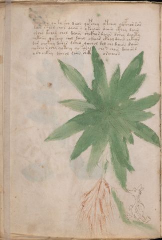 f25v