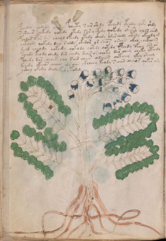 f26v