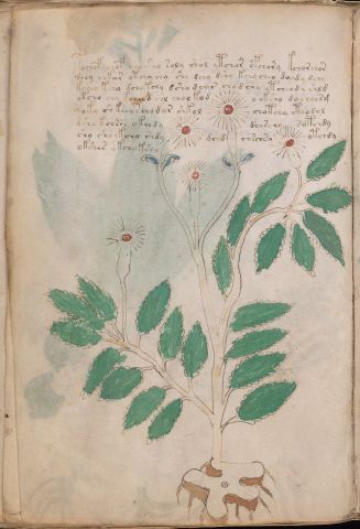 f27v