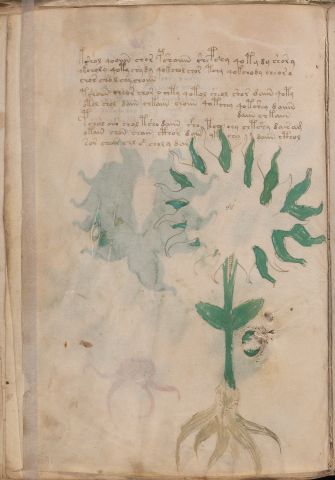 f28v
