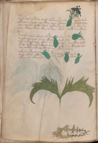f29v