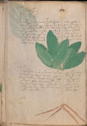 f42v