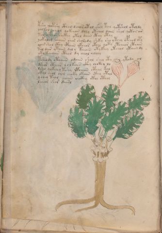 f44v