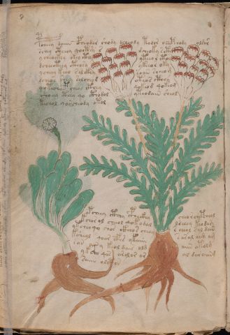 f87v