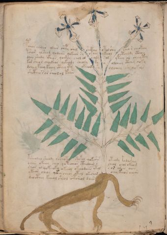 f90v1